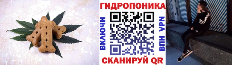 MEGA онион Кировград Canna-Cookies конопля где купить наркоту