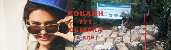 Альфа ПВП Богородск