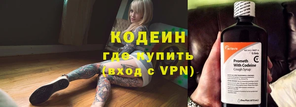 ГАЛЛЮЦИНОГЕННЫЕ ГРИБЫ Белокуриха