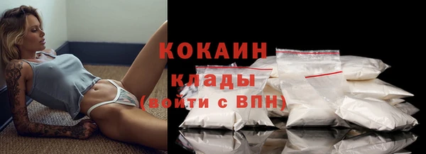 твердый Богородицк