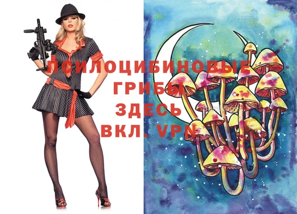марки nbome Пересвет