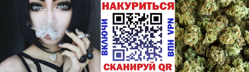 mega онион  Кировград  Каннабис ГИДРОПОН 